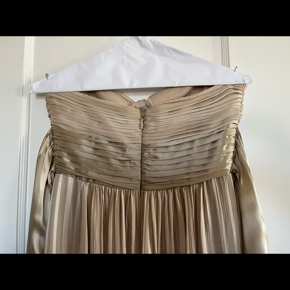 BCBG Maxazria Chiffon champagne floor length dress size 2 - Picture 4 of 8